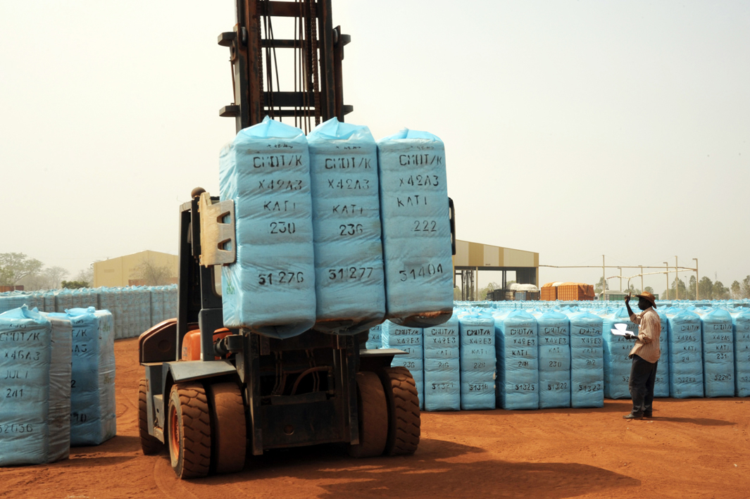 Coton : Vers une relance prudente de la filière