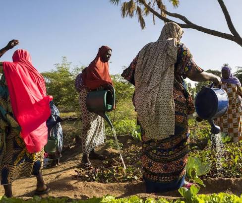 Droits humains : La situation de protection se dégrade au deuxième trimestre 2025