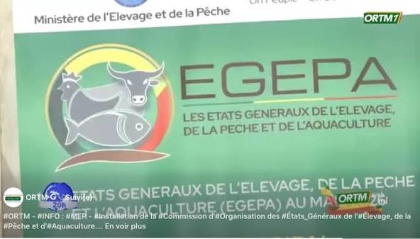 Élevage, pêche et aquaculture : Les ruptures qui freinent la souveraineté alimentaire